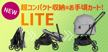 フィカゴー ライト