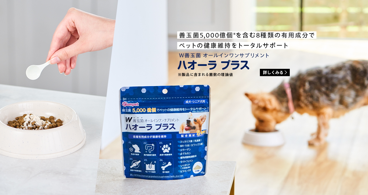 コムペット公認 Compet ペットカート ブラック ペットキャリーカート 専用 ショルダーストラップ コムペット公認 Compet ペットカート ブラック ペットキャリーカート 専用 ショルダーストラップ