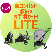 フィカゴー ライト