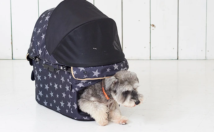 ［ Case2 ］ペットが外泊する機会がある