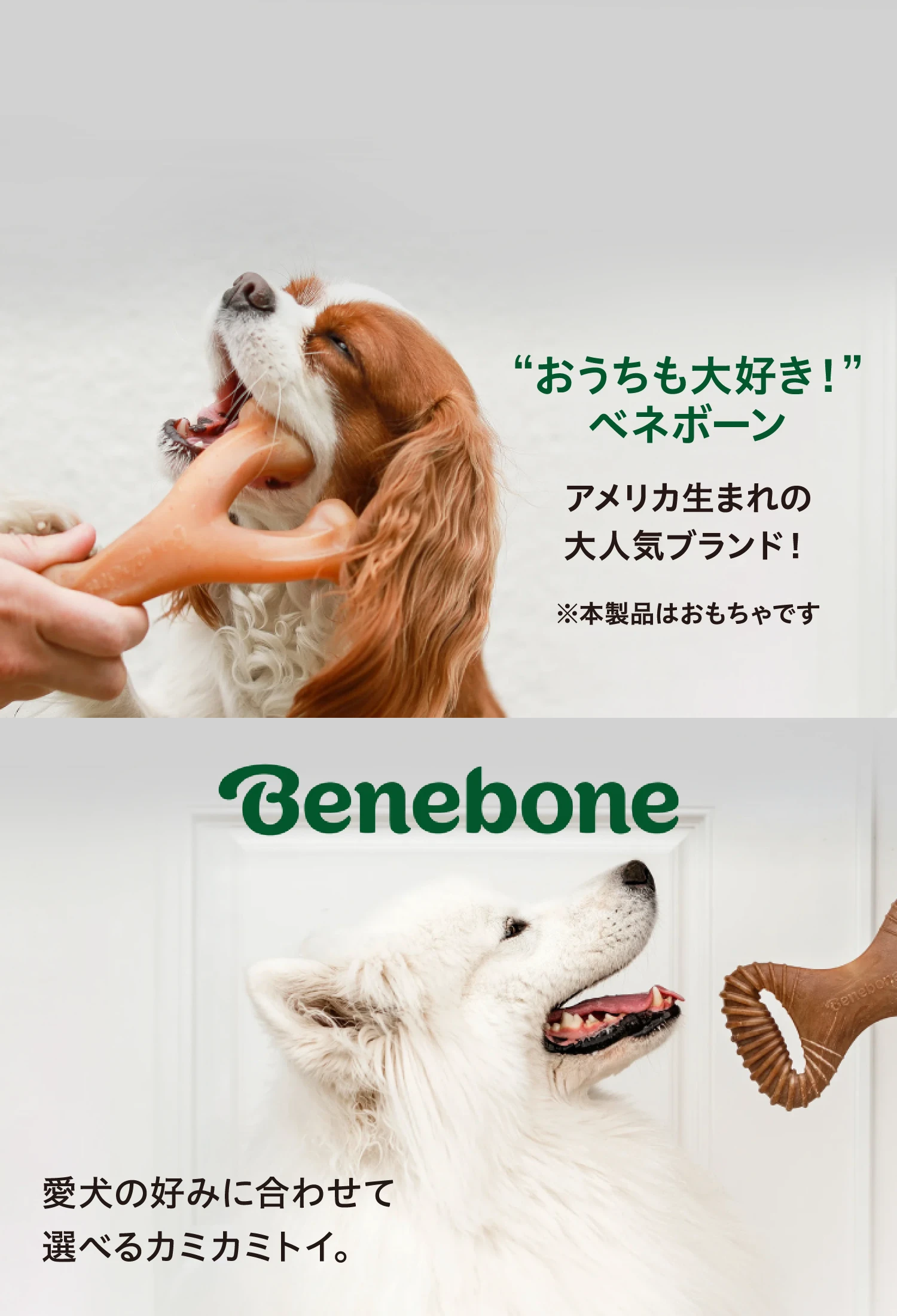 ベネボーン おうちも大好き！コムペット アメリカ生まれのカミカミフレーバートイ