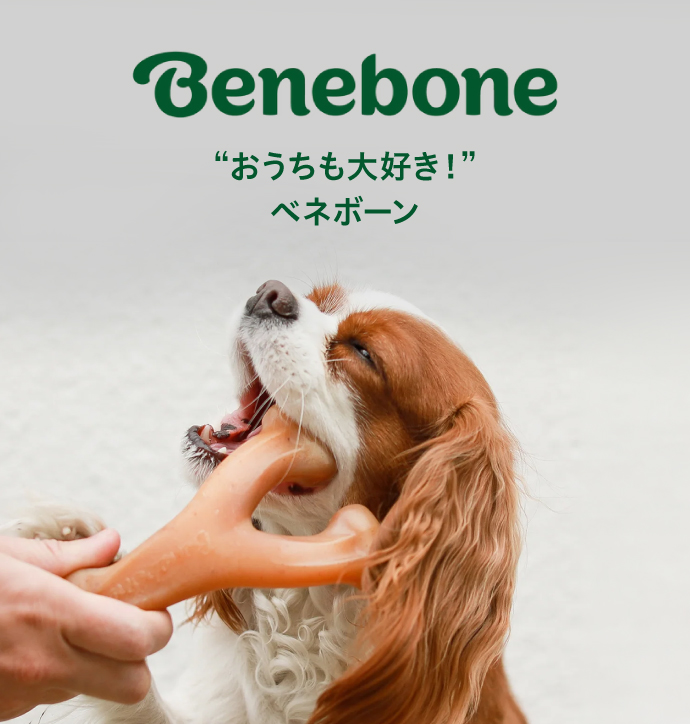 ベネボーン おうちも大好き！