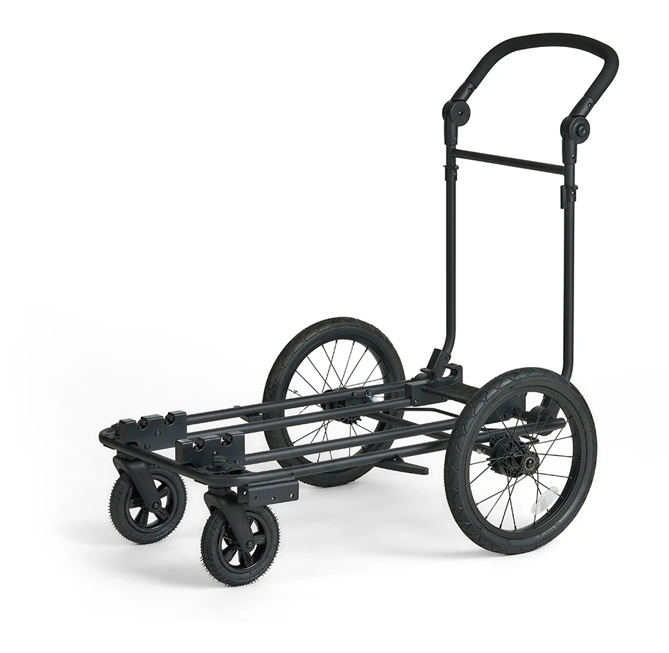 フィカゴー キング