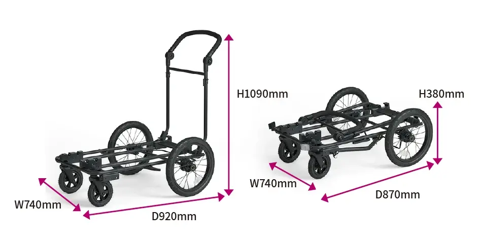 フィカゴー キング