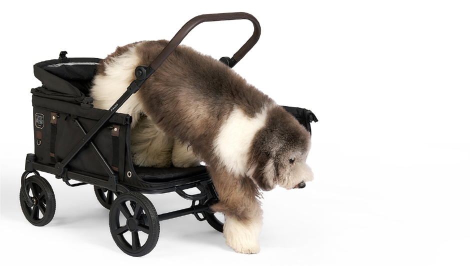 耐荷重100kg！ 大型犬や多頭乗せに対応！