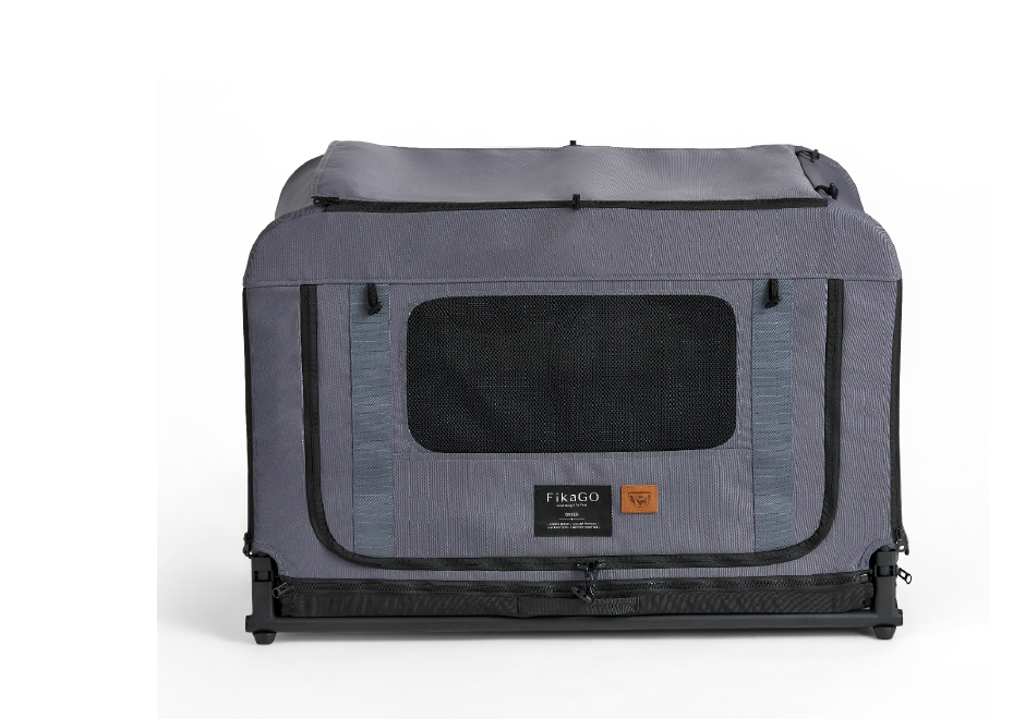 フィカゴー クイーン