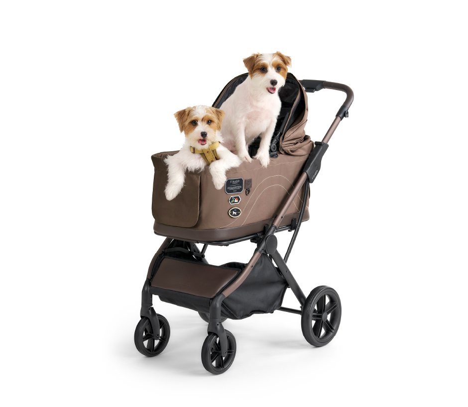 広々サイズのキャビン