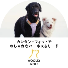 WOOLLY WOLF