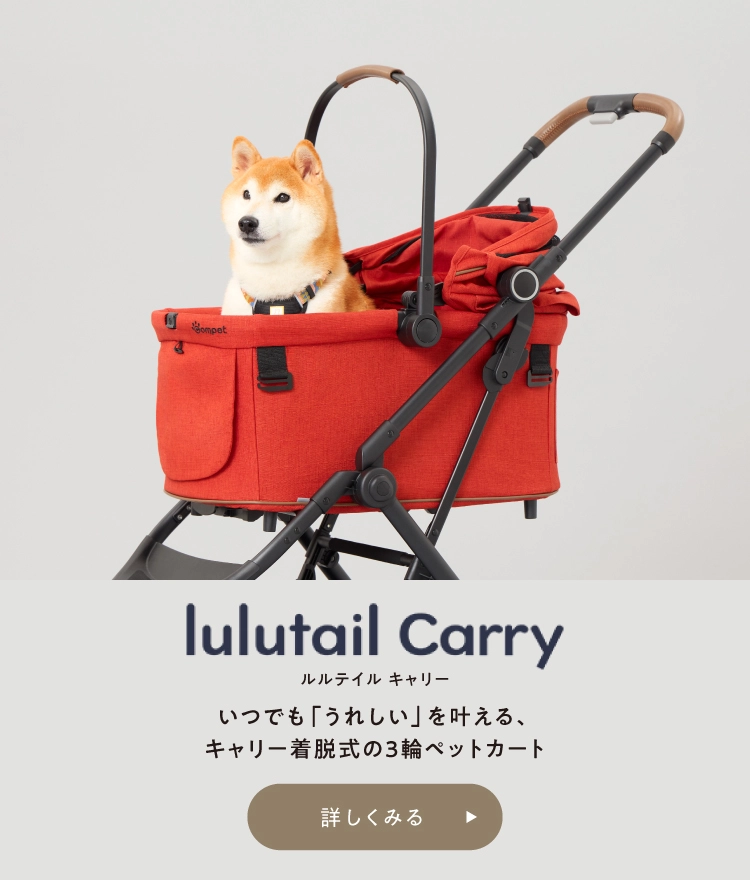 lulutail Carryを詳しく見る