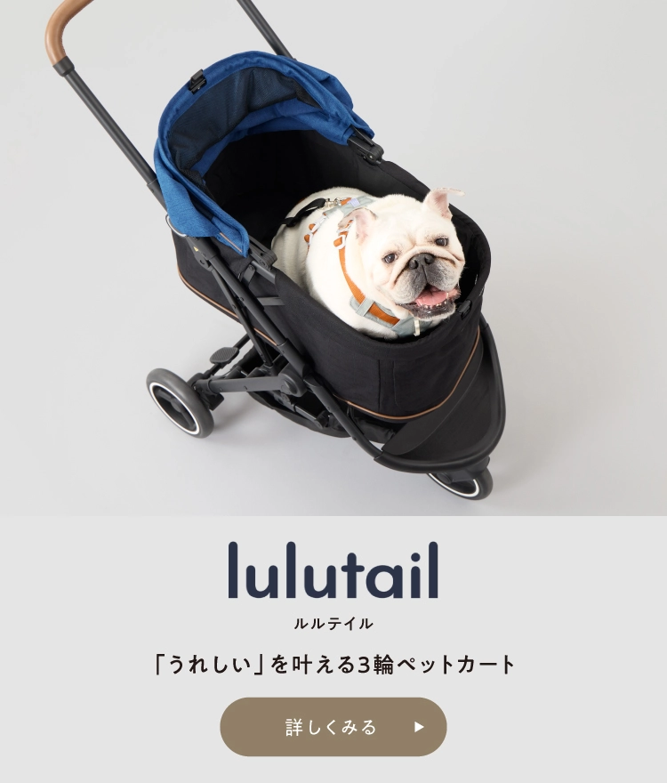 lulutailを詳しく見る