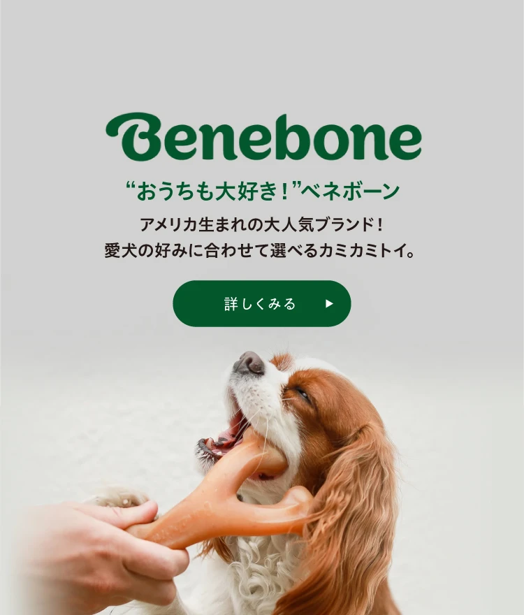ベネボーンを詳しく見る
