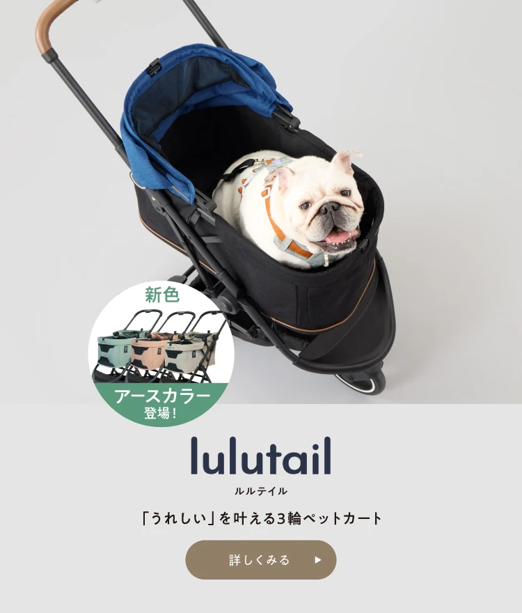 lulutailを詳しく見る