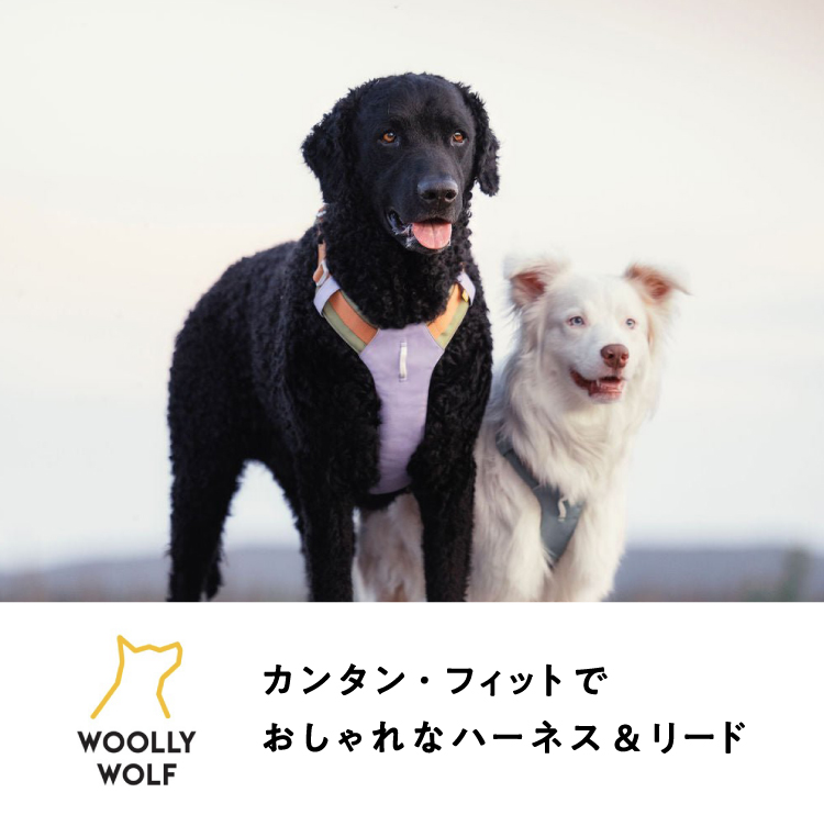 ウーリーウルフ