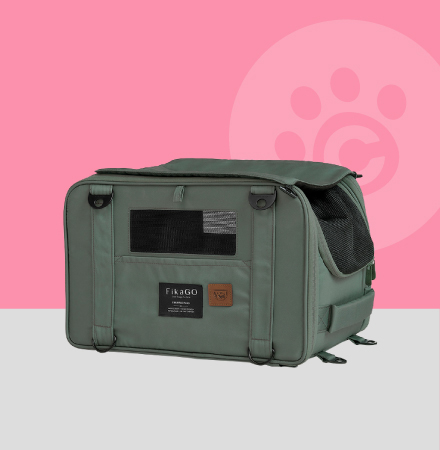 フィカゴー トリュフ プラス